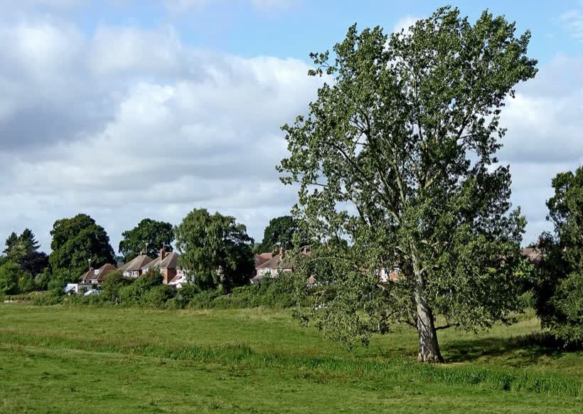 Meadows and housing near Queensville, Stafford, close to the Aldi on Queensville, Stafford