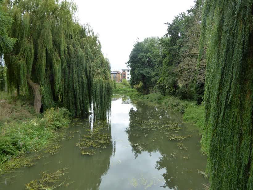 Brampton Nene, Northampton, close to the Aldi on Towcester Road, Northampton