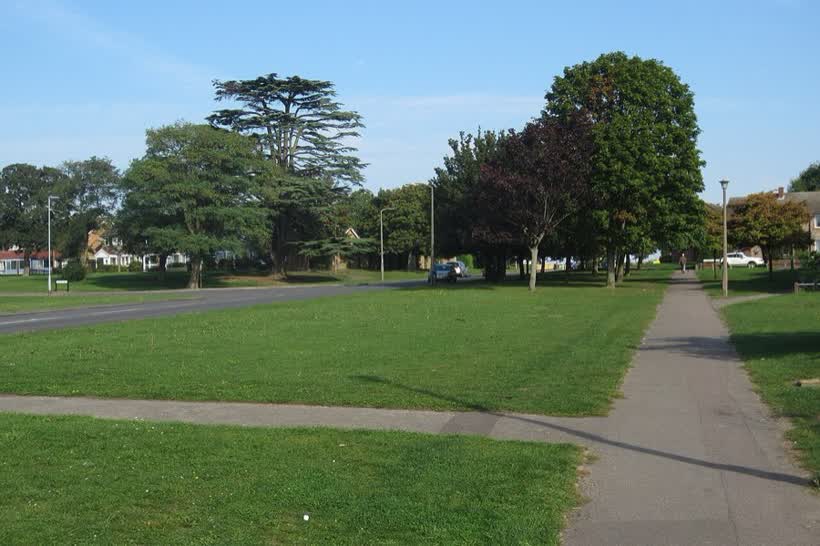 Trees on Church Lane, close to the Aldi on Church Lane, Bedford
