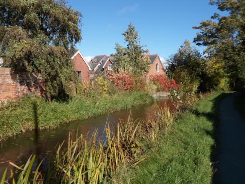 Montgomery Canal north of Mill Lane bridge, close to the Aldi on Mill Lane, Welshpool